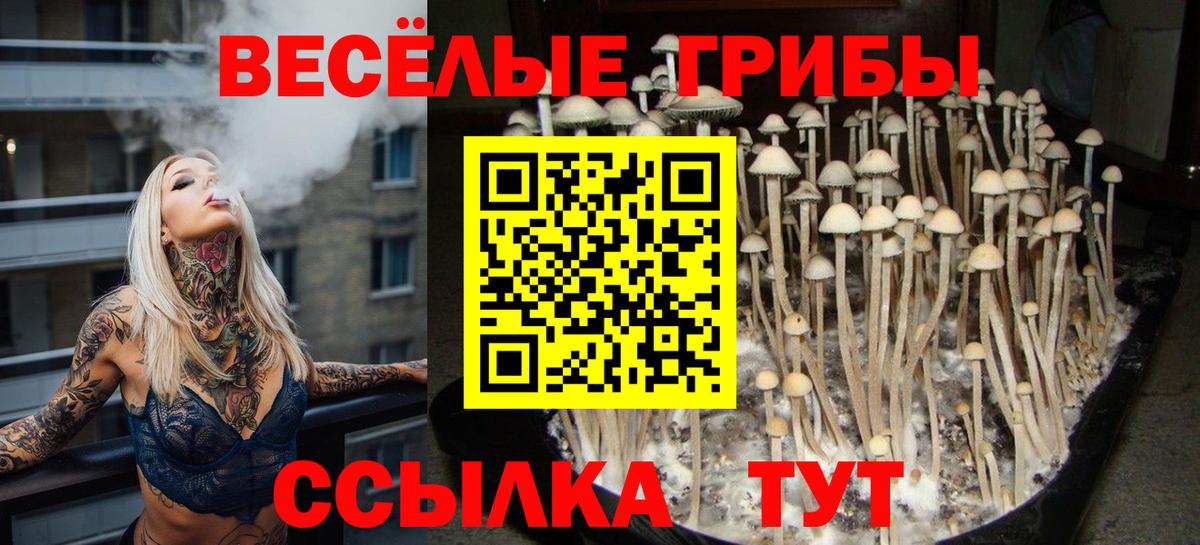 Галлюциногенные грибы GOLDEN TEACHER Гагарин